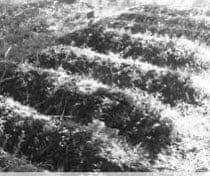 IbnParvez's tweet photo. πππ
2,700 unknown, unmarked, and mass graves, containing 2,943+ bodies, across 55 villages in Bandipora, Baramulla, and Kupwara districts of Kashmir, based on applied research conducted between November 2006 - November 2009.
#BleedingKashmir.
#HellWithOppression. https://t.co/z0xaZo6gu9