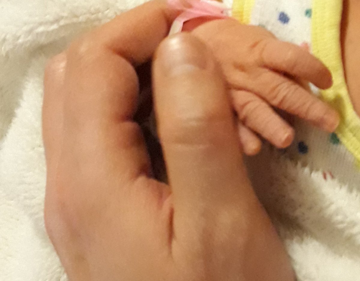 Martin Hoffmann 🇺🇦 tweet media