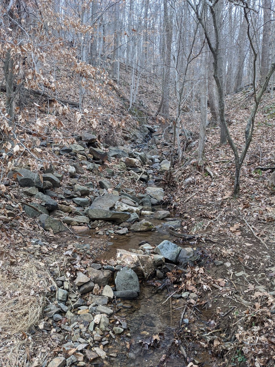 #41/15/21 Palmer State Park (Harford County)