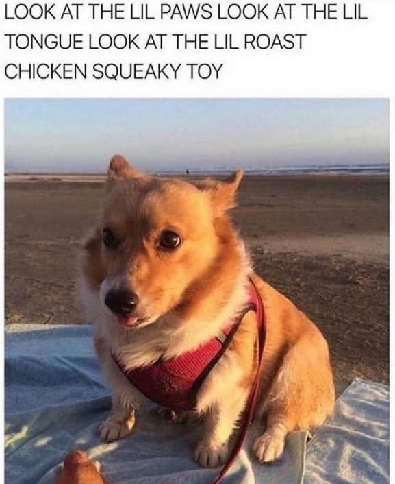 CrossPeak's tweet photo. What's not to love here? 😍 https://t.co/uMQCumDaFl