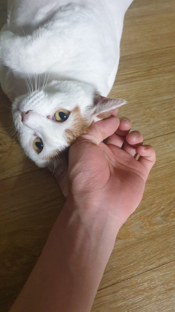 cloudy_993's tweet photo. 잘 잤오~~~!!!??? https://t.co/oeEhycIpqd