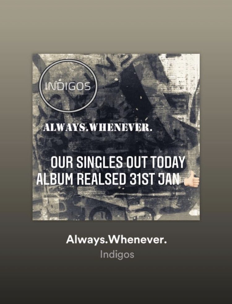 the indigos tweet media