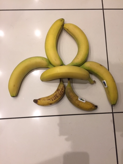 25thEScouts's tweet photo. 25th Ealing taking part in #wintercamp2021 - make the Scout logo using items around the house. We're loving the hourly challenges, and great content this weekend! #thegreatindoors #scoutingathome #skillsforlife https://t.co/UtN5azPPHV