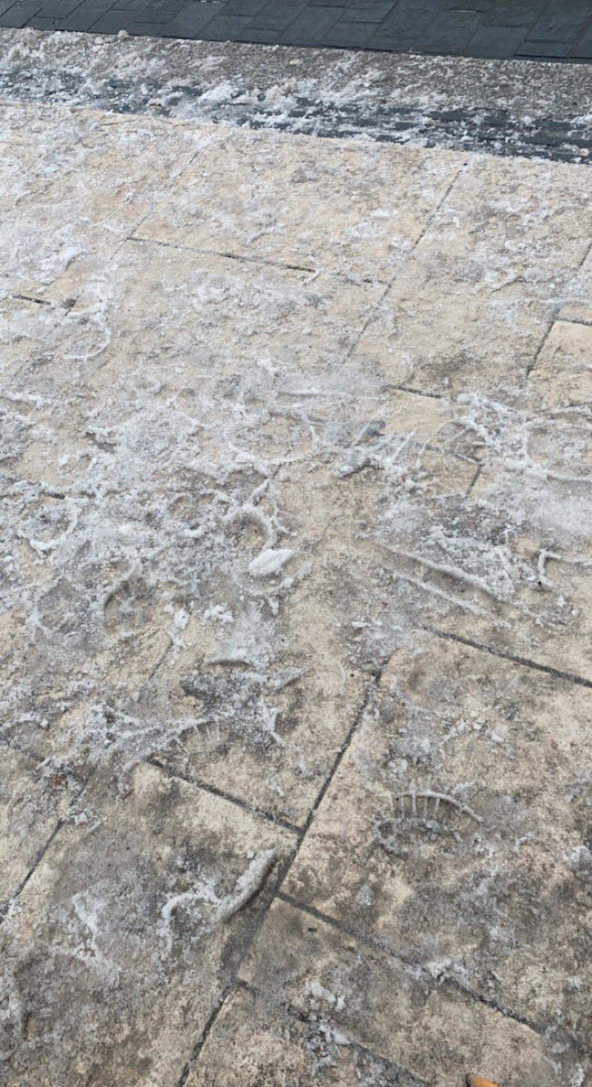 malexinde's tweet image. La neige en Suisse     la neige a Metz