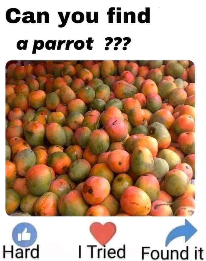 Can you ?