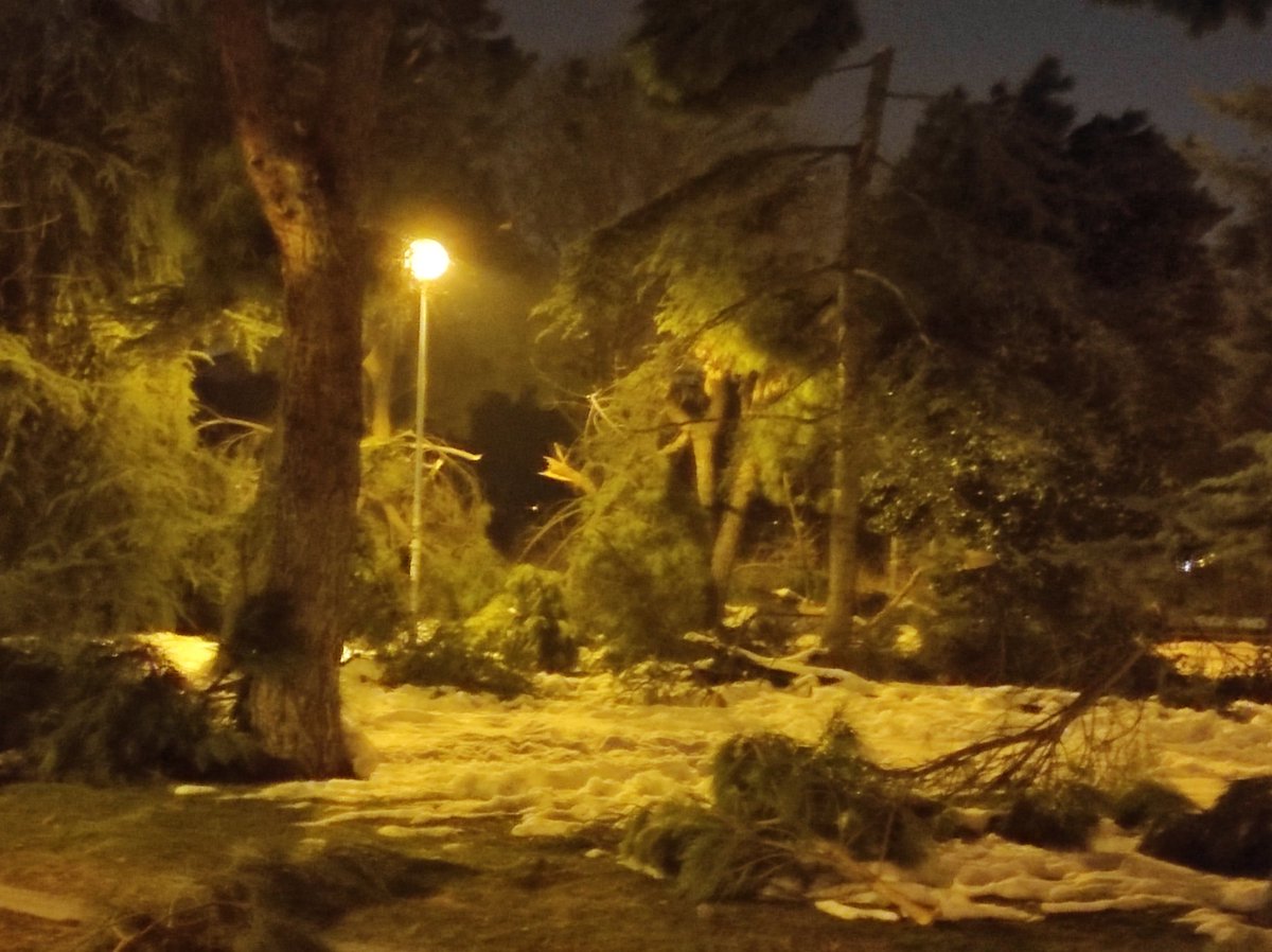 Rubén Sardón tweet media