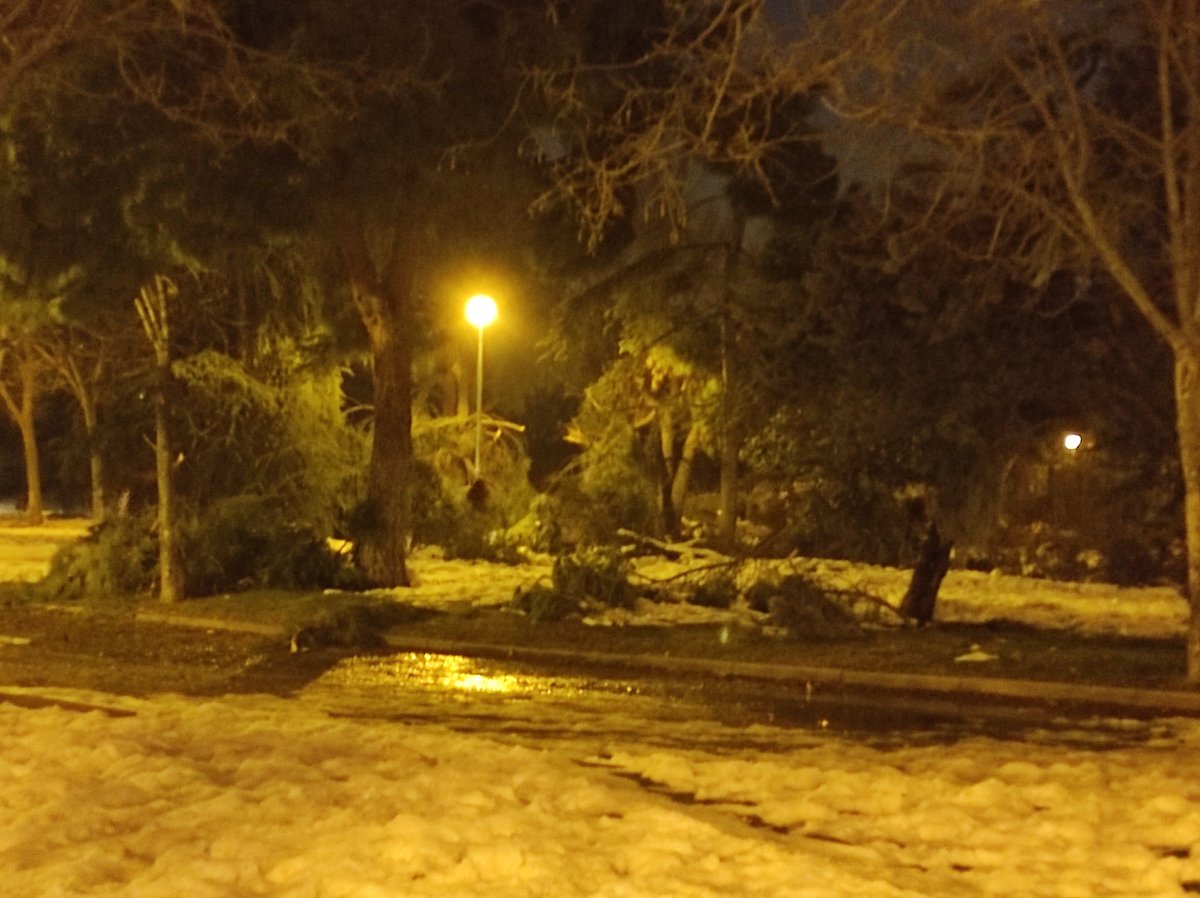 Así está el parque de las Moreras, por aquí están circulando viandantes que acuden al Centro Comercial Parquesur. Árboles con ramas desprendidas y otras a punto de caer. El <a href="/AytoLeganes/">Ayuntamiento de Leganés</a> ni siquiera ha balizado la zona... Esperamos a las desgracia?