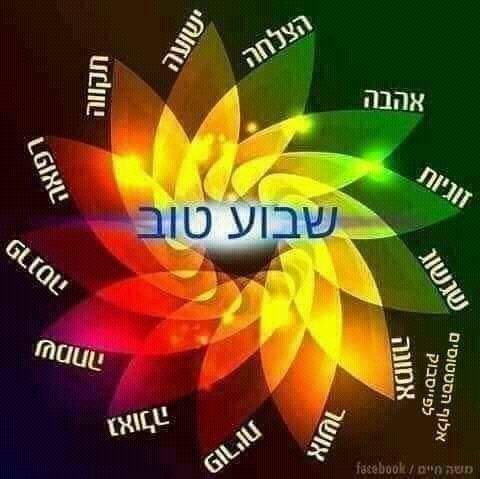 golani51_rf's tweet photo. https://t.co/BbTrkQylvA
