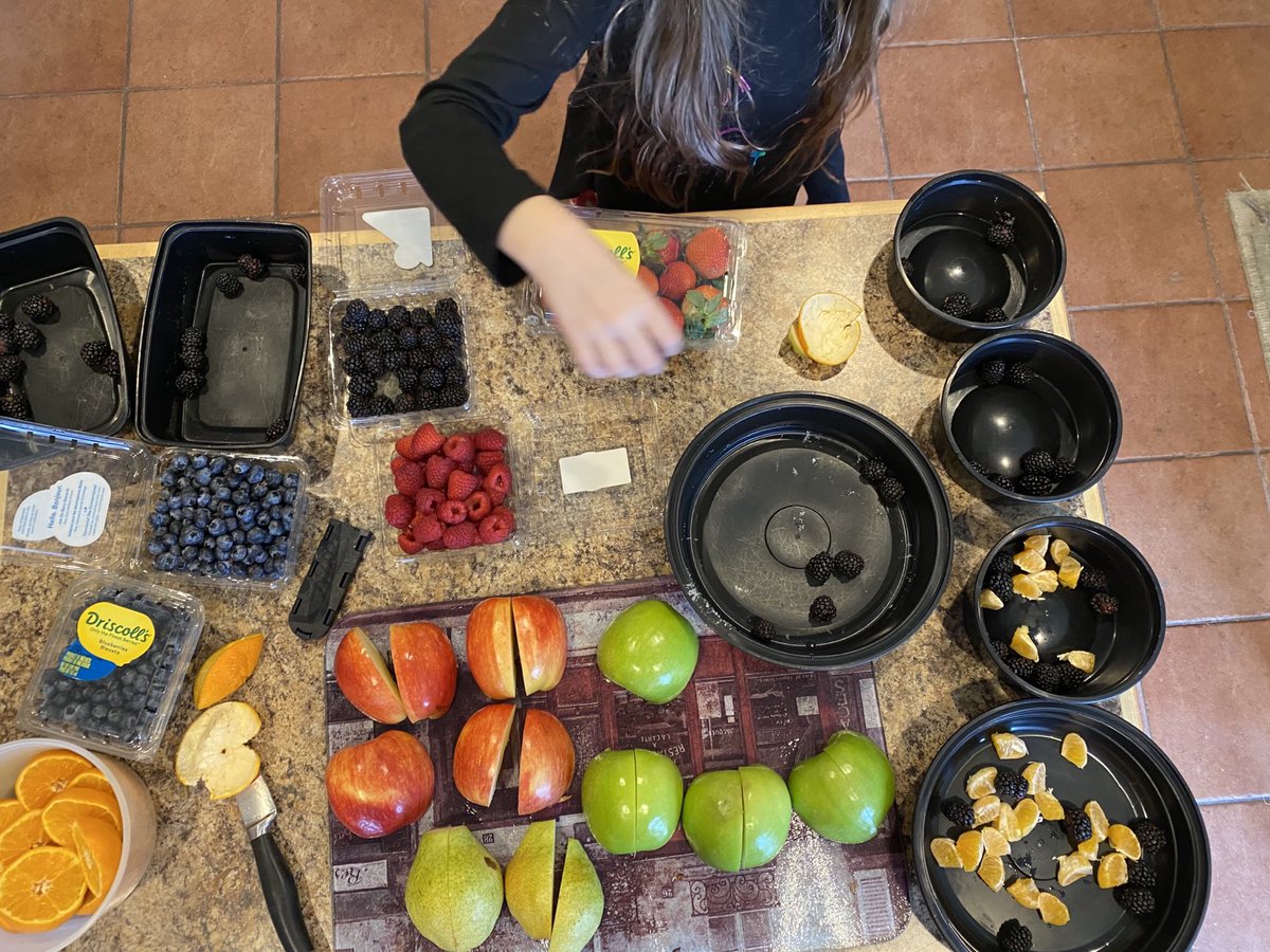 BitchKatan's tweet photo. My assistant Boogs Kenobi is helping with the fruit prep this week. #mommalife #twomoms https://t.co/s8ysuBUsp8