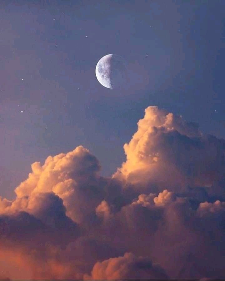 PepilloTj664's tweet photo. Una verdadera belleza 🌚

#SabadoDeGanarSeguidores
#RetweeetPlease
#SABADODELUXE https://t.co/VqqjWE7QOC
