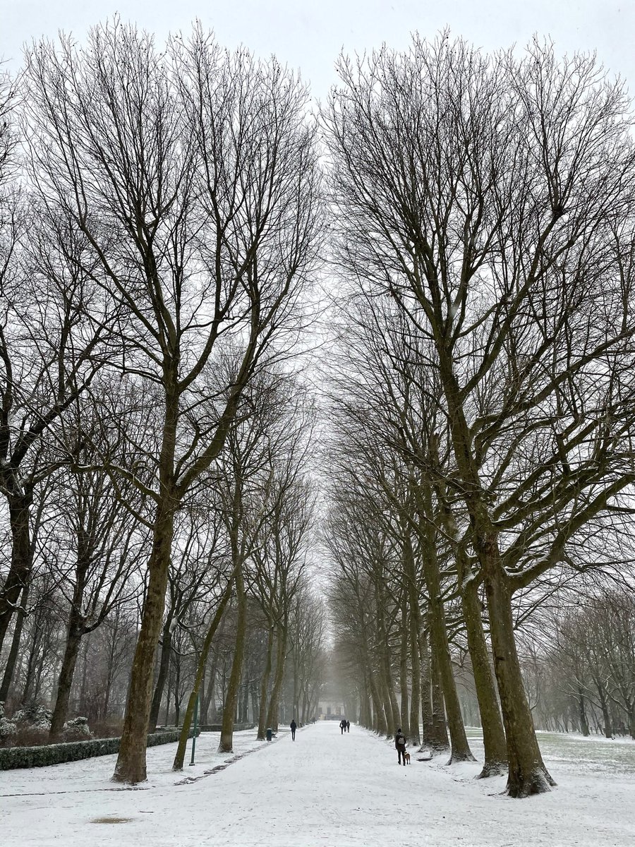 Ok so Brussels may not have seen as much snow as Kyiv or Helsinki (or Madrid!) but even a light coating cheers everyone up. Parc Cinquantenaire this afternoon https://t.co/j1Ih8eio3j