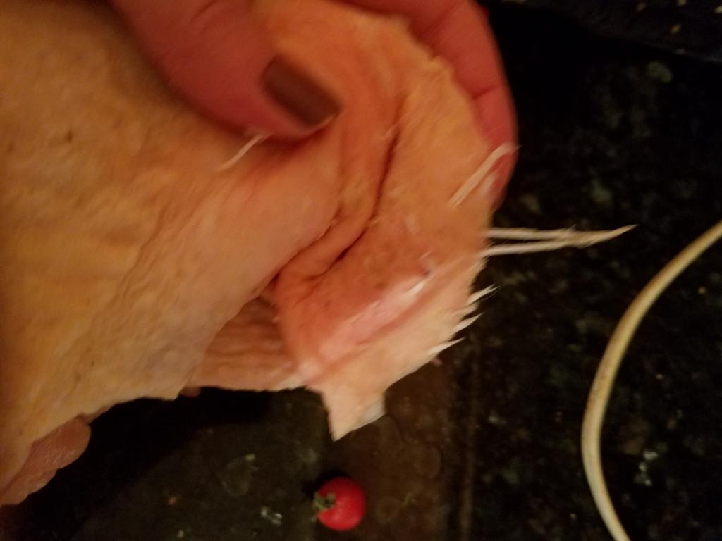 ThatMissChris's tweet photo. @MyKingSoopers If I wanted chicken with feathers still in, I would go straight to a farm. Half of my 7lb pack had this issue. Heritage Farms #fortheloss https://t.co/phNtDXbwlT