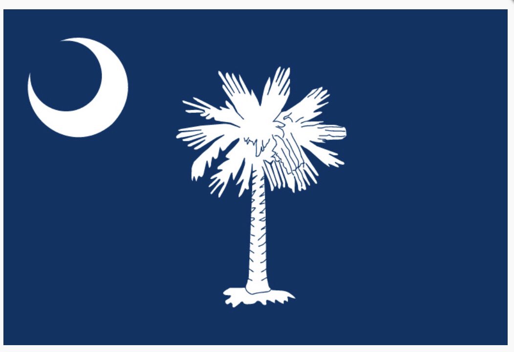 alisondmason's tweet photo. Let the countdown to moving day begin!! #sc #palmettostate #byegeorgia 🏡 https://t.co/2UHAgBwqtX