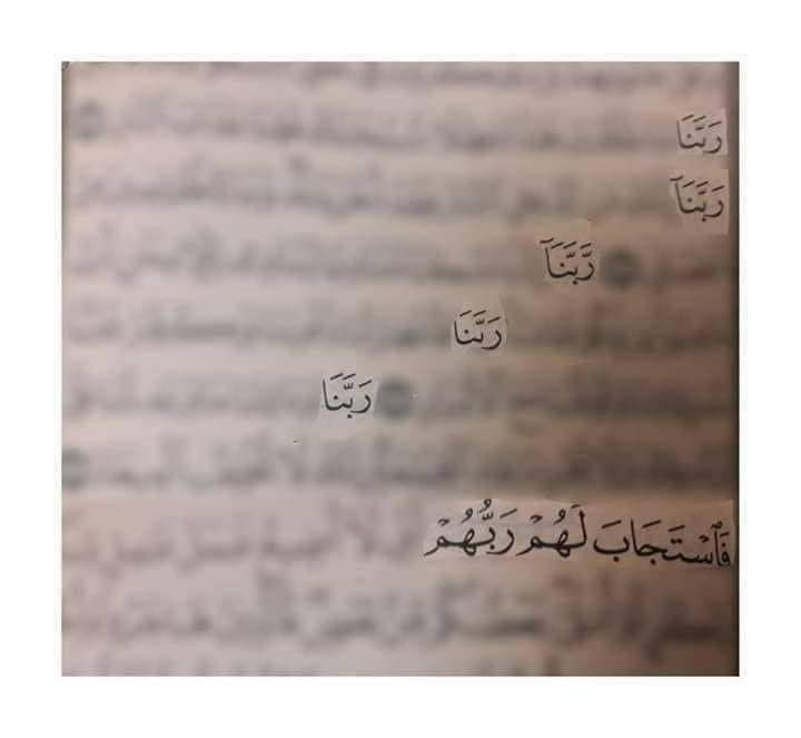 قال قتادة والله ما زالوا يقولون ربنا ربنا حتى أستجيب لهم 💙
