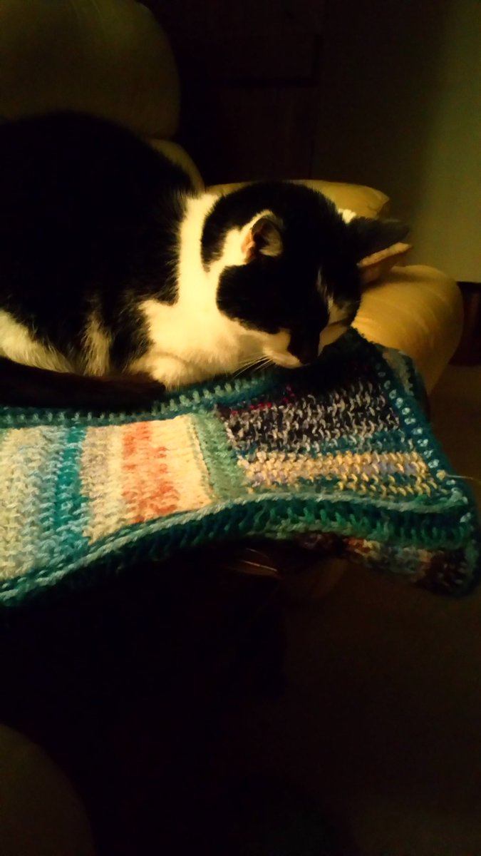 Sue_T2O's tweet photo. At least she's not bombarding me the minute I sit down..
#CoffeeTableCat https://t.co/Uep9xOROCA