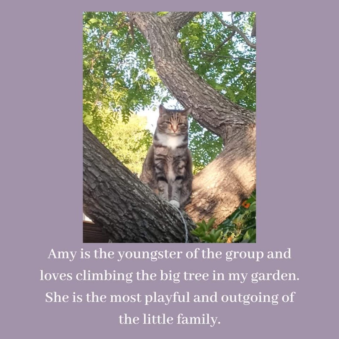 @PlumPets tweet media