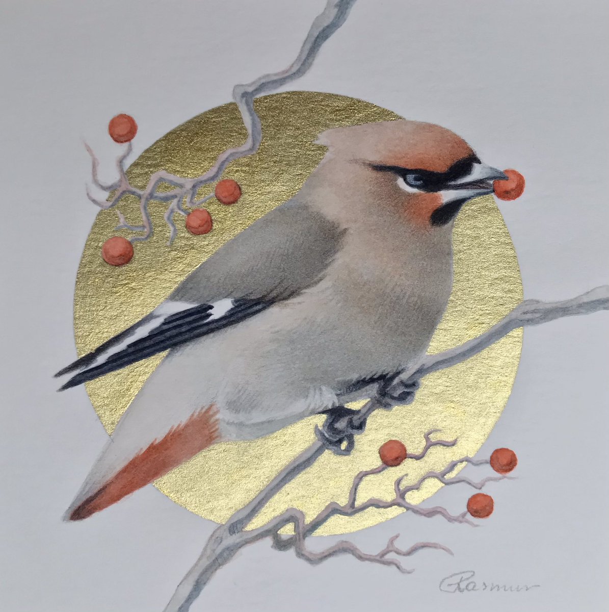 Almost forgot about this little guy I painted the other day. Cedar Waxwing, watercolors and gold ink. #birdwhispererproject #birdart #cedarwaxwing #birdwhisperer