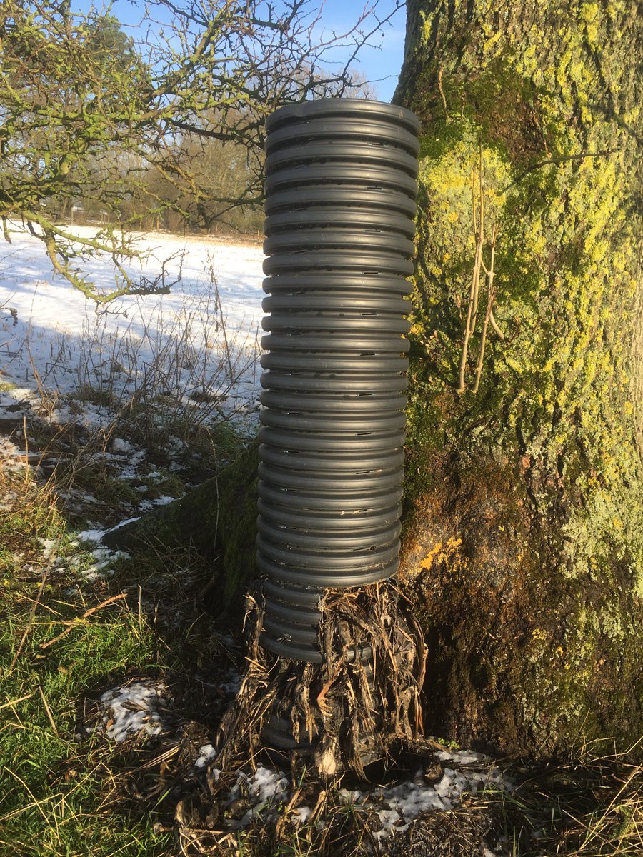 ⁦@RaptorPersScot⁩ have you ever seen anything like this? Retweet! Full of dead pheasants for attracting something, police aware. Wildlife officer never seen anything like it in 20 yrs! On N York Moors, Btn Gillamoor &amp; Hutton Le Moor. Reported by landowner. Illegally set!