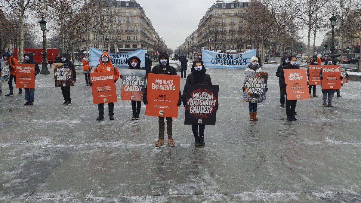 HBouxom's tweet photo. Aujourd’hui #OnSubit les conséquences de la #Covid19. 
Déforestation, antibiotiques, promiscuité, génétique... la prochaine bombe sanitaire pourrait venir de l’élevage intensif! 
@Anne_Hidalgo appelez @EmmanuelMacron à #AgirSurLesCauses 🙏
👇
https://t.co/q60cK4tlh5 https://t.co/dwcY7cCXOa