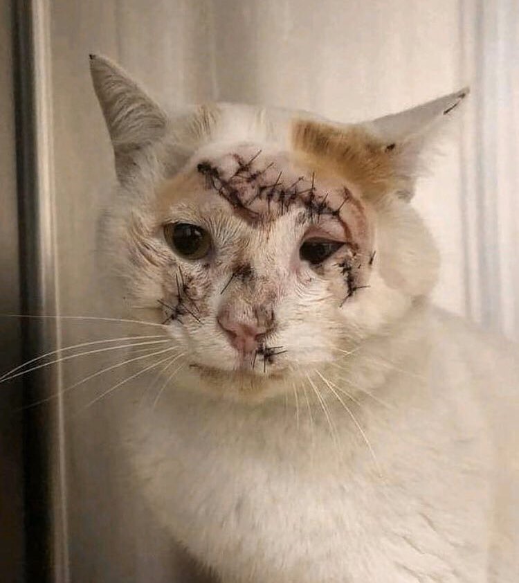 emre 🇳🇬 tweet media