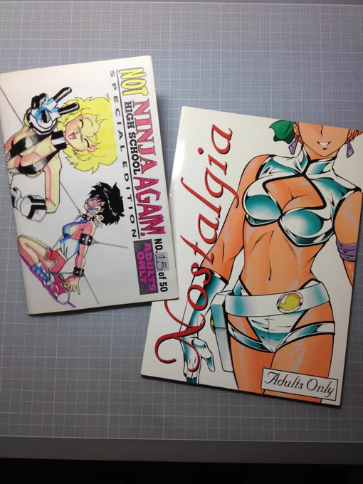 日本アニメコンベンションでもアーティスト・アレーという「個人が出展して自らの販売物を販売する」コーナーがあります。かつてそこで色々な「アメリカ産同人誌」が販売されていました。 