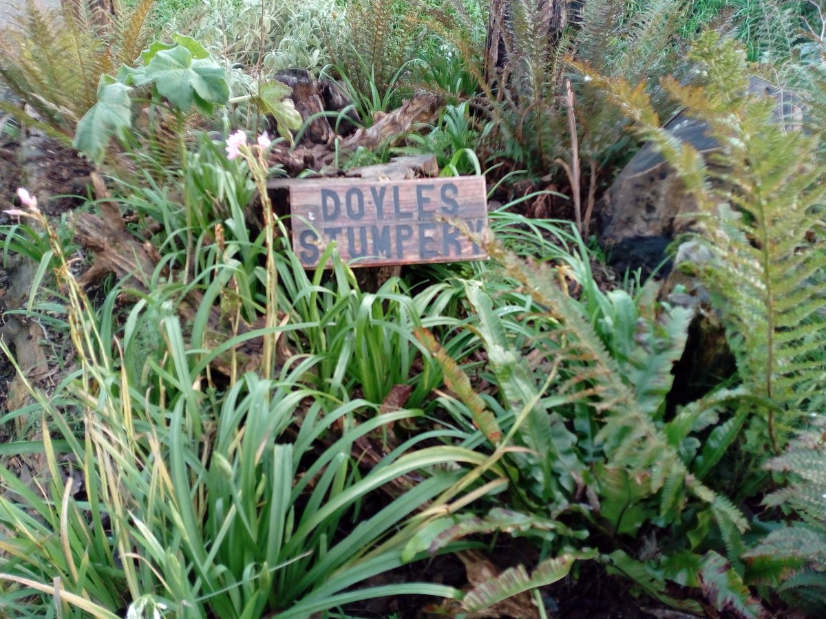 Roz (@ecoactivesocial) on Twitter photo <a href="/RHKEnvironment/">RHK Environment Group</a> GORGEOUS walk secret #garden today #RosslareHarbour. The range of #PollinatorFriendly plants is fab, as are the hives, benches, fairyhouses & of course the #birds! So cute birdfeeders for them. Well Done! 💞👏👏👏🌱
<a href="/VisitRosslare/">Visit Rosslare Harbour</a> <a href="/HotelRosslare/">Hotel Rosslare</a> <a href="/Rosslareuroport/">Rosslare Europort</a> <a href="/RHKEnvironment/">RHK Environment Group</a> GORGEOUS walk secret #garden today #RosslareHarbour. The range of #PollinatorFriendly plants is fab, as are the hives, benches, fairyhouses & of course the #birds! So cute birdfeeders for them. Well Done! 💞👏👏👏🌱
<a href="/VisitRosslare/">Visit Rosslare Harbour</a> <a href="/HotelRosslare/">Hotel Rosslare</a> <a href="/Rosslareuroport/">Rosslare Europort</a>