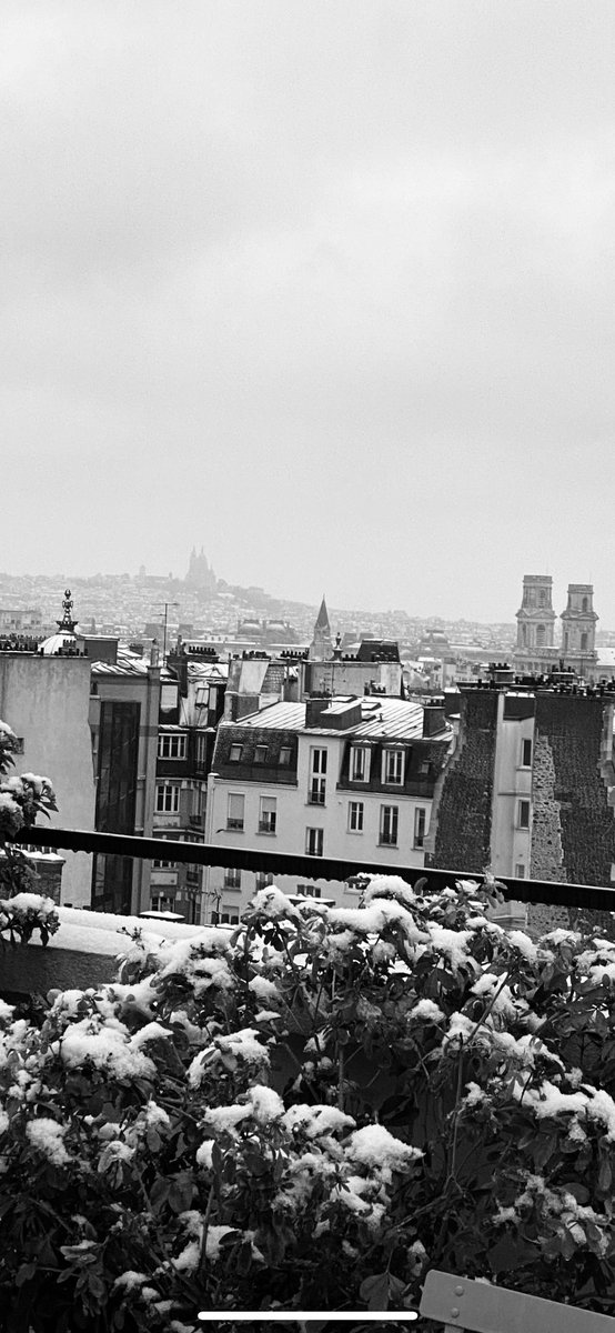 AgnesCPoirier's tweet image. Paris under a thin layer of snow. Now.