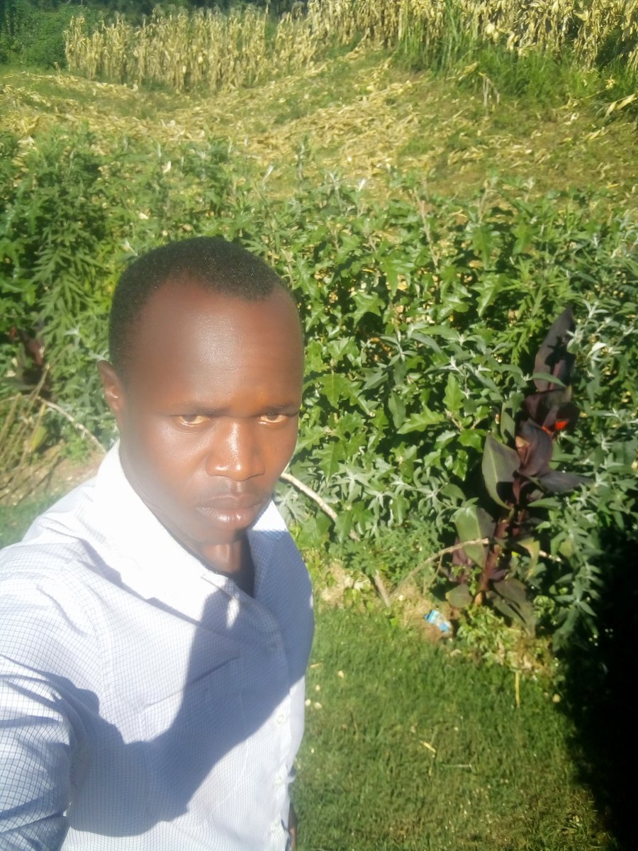 DenooKapkesosio's tweet photo. Sururu metta is listening #TamanCheVeryChamAble ikotin Kevoh en sururu come like that @Chamgeifm1 @djkipro1 @Moseskbett https://t.co/rub7JvA7oc