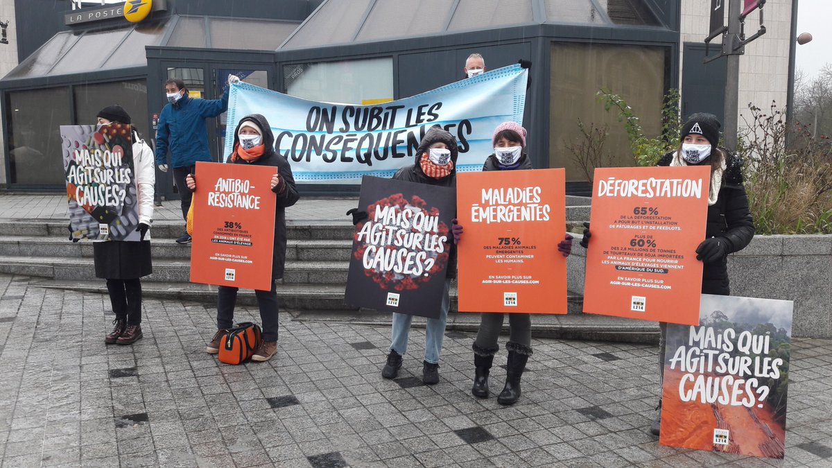 raphael_legros's tweet photo. Aujourd’hui #OnSubit les conséquences de la #Covid19. 
Déforestation, antibiotiques, promiscuité, génétique... la prochaine bombe sanitaire pourrait venir de l’élevage intensif! 
@SergeGrouard appelez @EmmanuelMacron à #AgirSurLesCauses 🙏
👇
https://t.co/T5rVcc3Pvn https://t.co/wmFCnJOik1