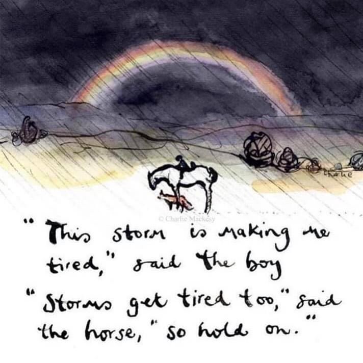 Ami Jones (@jonesthebosher) on Twitter photo 