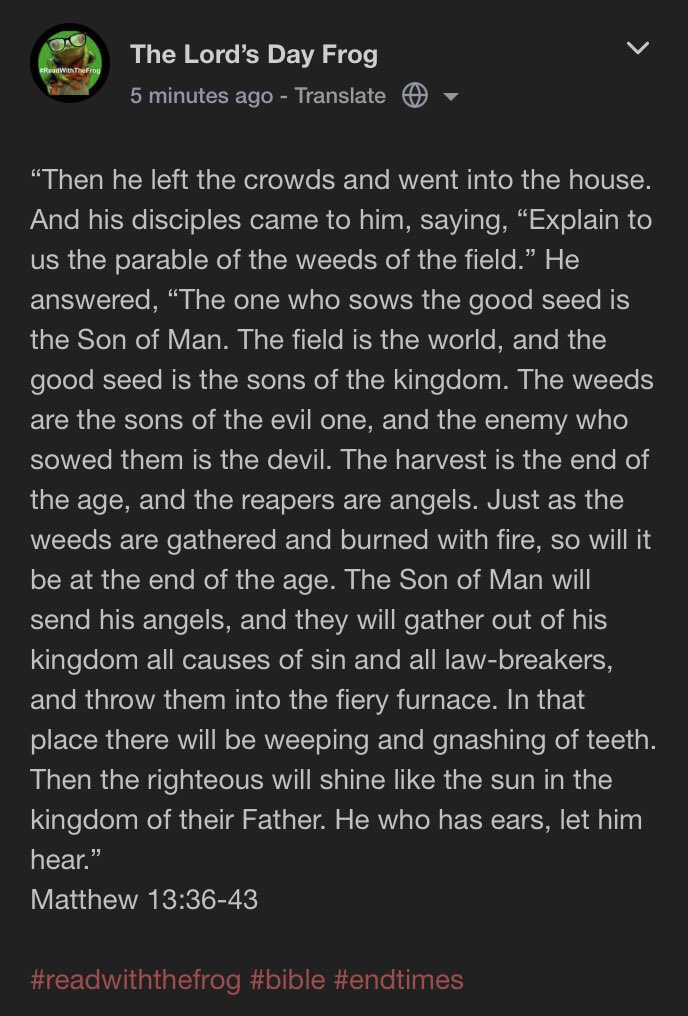 TheLordsDayFrog's tweet image. #EndOfDays #ReadWithTheFrog