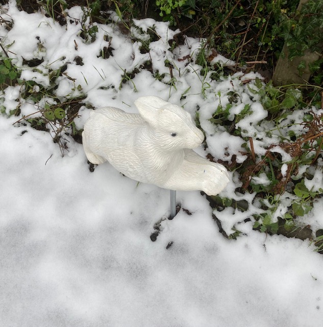 Clickersarchery tweet media