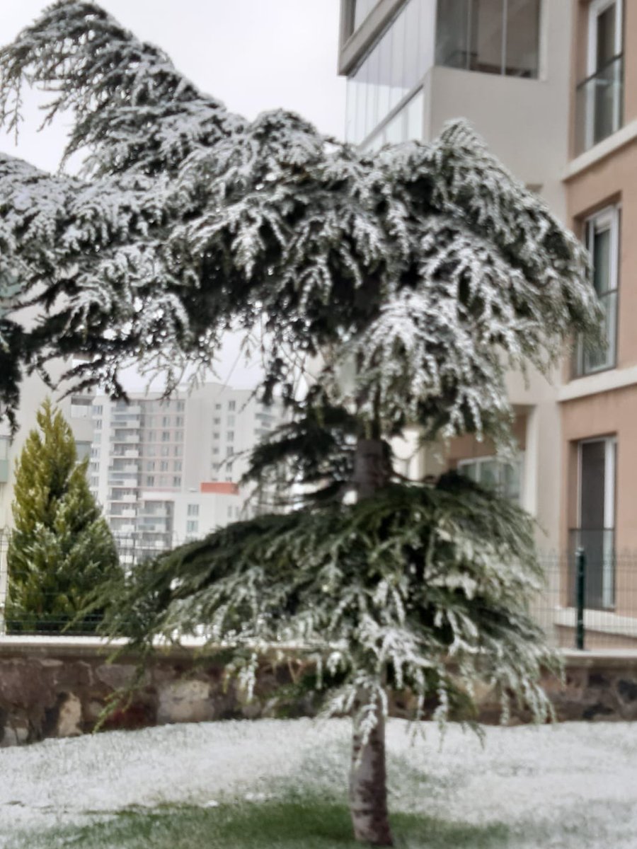 bucaerhankilic's tweet photo. Bucamızın yüksek kesimlerinde beyaz güzellik kendini göstermeye başladı.❄️

Görev icabı kısıtlamadan muaf olan hemşehrilerimin çok dikkatli araç kullanmalarını öneriyorum...

Umarım ilerleyen saatlerde daha fazla kar mutluluğu yaşarız. ❄️😊 https://t.co/di1gnJZLry