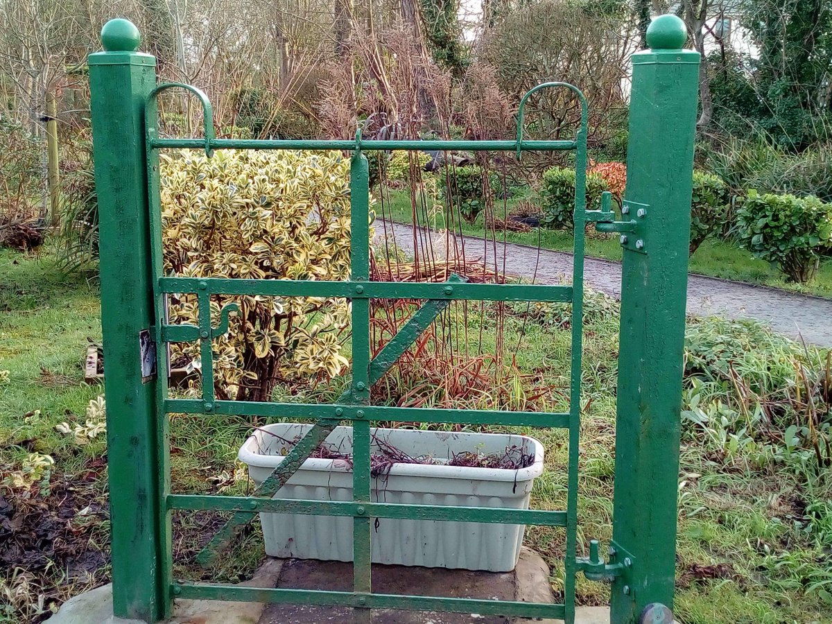 You can feel Spring in the air...definitely on the way! #Hope Photos by <a href="/EcoActiveSocial/">Roz</a> Please support our fundraising campaign to help us keep the gardens looking amazing for you - all run by volunteers #Rosslareharbour #Wexford gofundme.com/f/help-us-main…