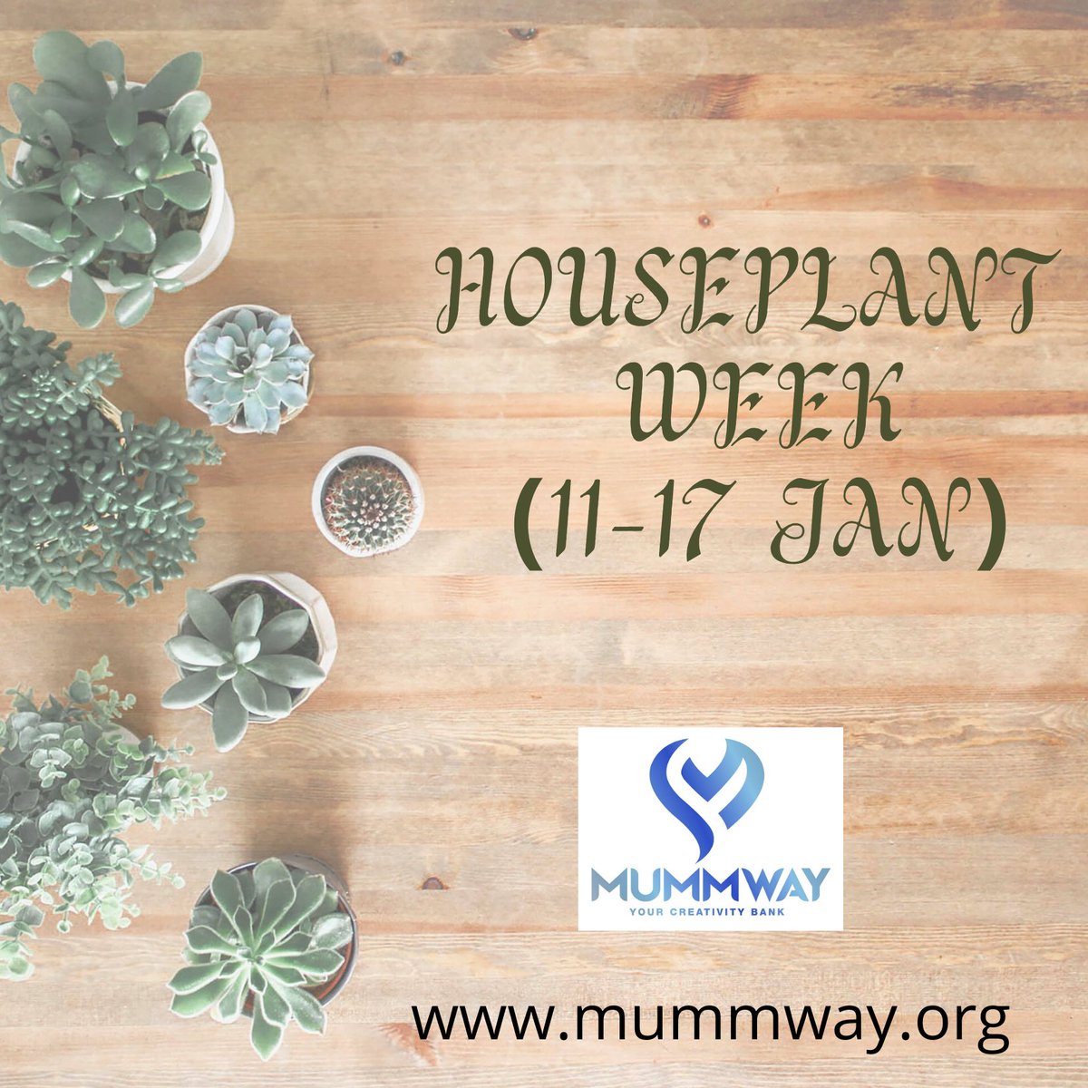 mummway.org
+441707655364
bizsolution@mummway.org
#mummway #businesssolution #services #products #digitalmarketing #advertising #graphicdesign  #webdesign #ecommerce #socialmediamarketing #writing
#houseplant #livingwithplants #myplantlovinghome #houseplantjournal