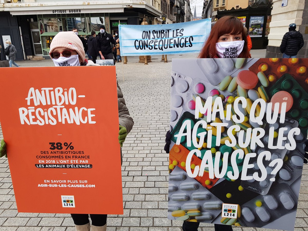 lola_rt_44's tweet photo. #OnSubit les conséquences d’une pandémie d’origine animale. Désormais il est essentiel d’#AgirSurLesCauses.
M. @EmmanuelMacron, je rejoins les citoyens et scientifiques qui vous demandent d’agir.
👇
https://t.co/IAgt1d4ciR https://t.co/90L7aeshd8