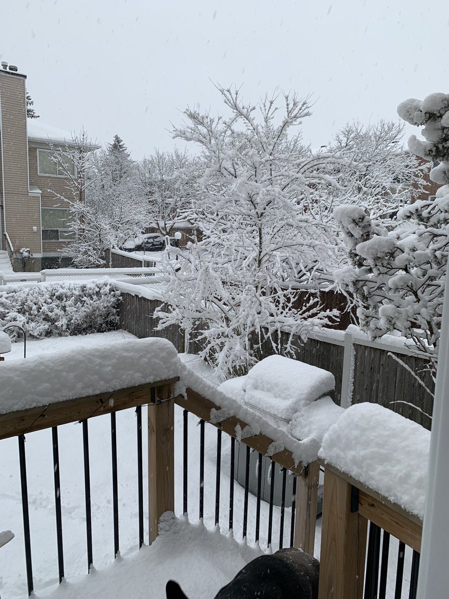 marykirby71's tweet photo. Morning everyone. Time to get the cardio in with the snow shovel! #Getyourexercise #snowlife #Canadainwinter🇨🇦#movementismedicine #pandemiclife https://t.co/njYXM2DVer