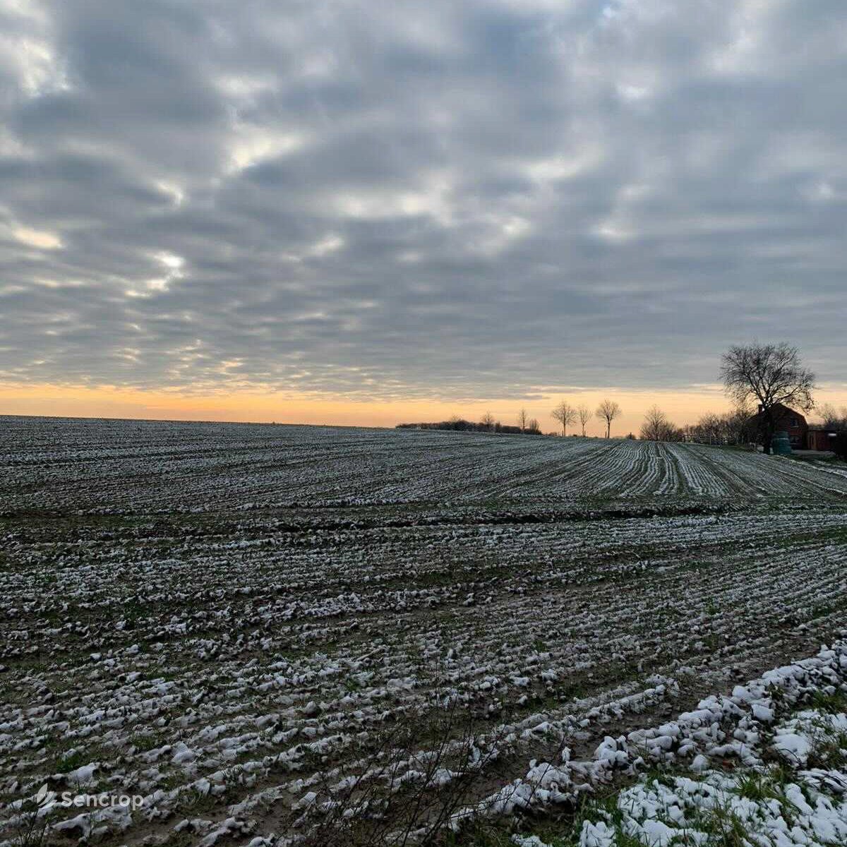 Chez Sencrop on dit souvent: 
"Ciel rouge le matin, la neige est en chemin..." ❄️ 
Comme l’illustre notre radar, la neige arrive à grand pas... 🌨⛄️

Partagez-nous les photos de vos parcelles enneigées 📷👇