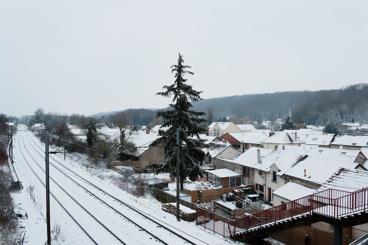 Jeremy LEFEBVRE tweet media