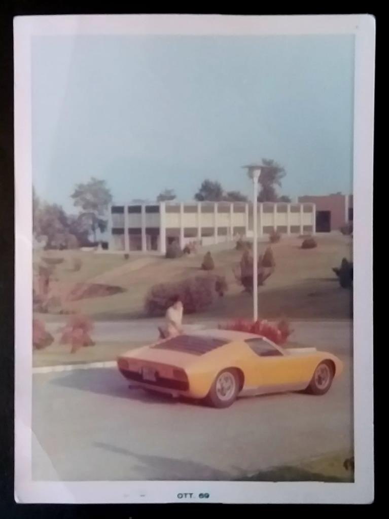 Matteo Bossetti tweet media