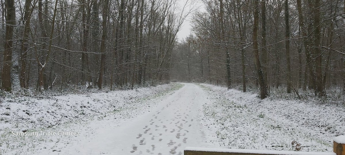 bryansagor's tweet image. #wintermod🚛💨