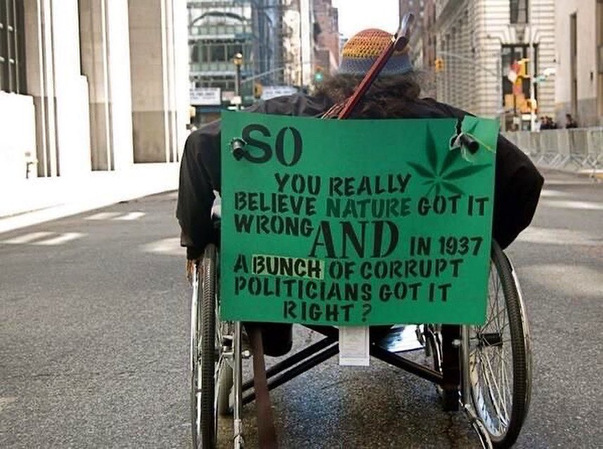 paolino1340's tweet photo. #CBD Switzerland Austria #cannabisLegal #CannabisMedicinal #CannabisNews #cannabisindustry #Health #MedicalMarijuana #legal #LegalizeIt #weed #hanf #Hemp #we #grow #for #you #Like #and #follow #cannergrow https://t.co/e1VRyIcm86