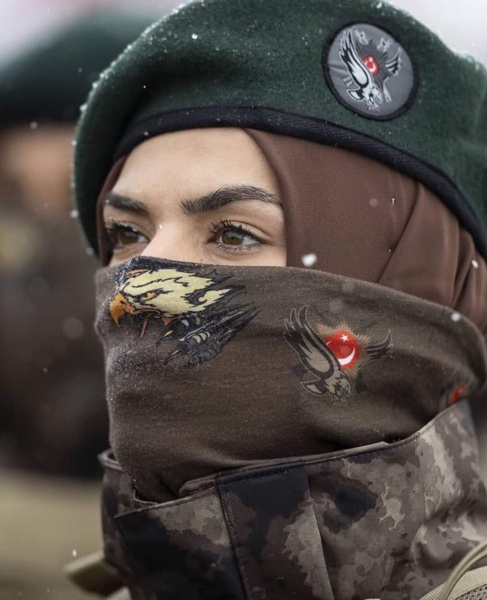 digerkm's tweet photo. Asil ve kartal bakışlı. https://t.co/b4JZartIbv