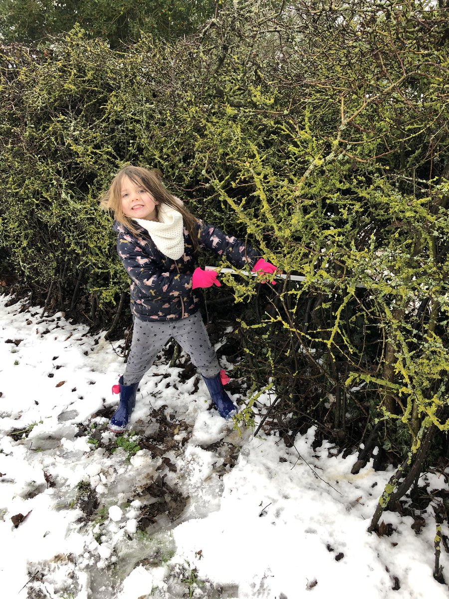 Emma Churchman tweet media