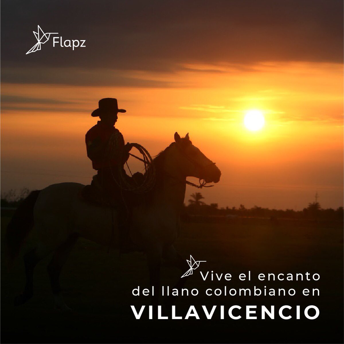 No volverás a ver el atardecer de la misma manera después de viajar a los Llanos Orientales en Colombia.

Disfruta con Flapz de la puesta del sol mientras escuchas las vibrantes cuerdas del arpa que moverán cada fibra de tu cuerpo.