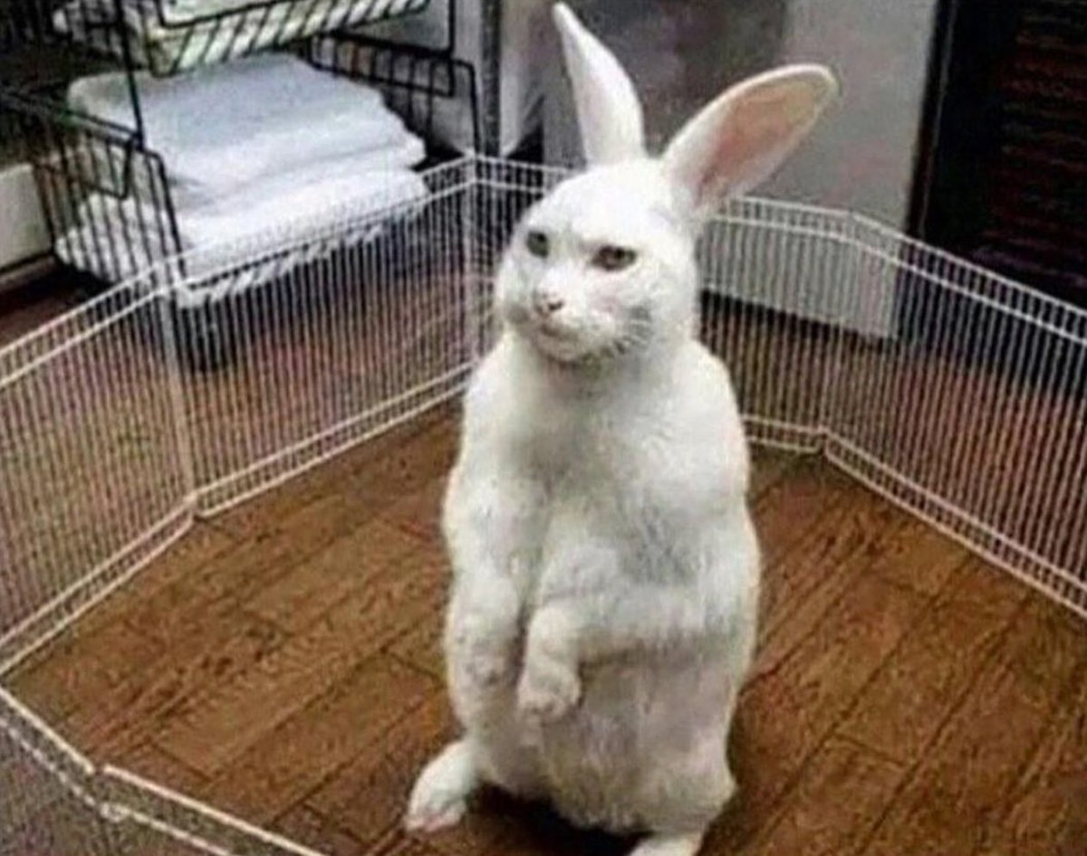 "Fuck you mean you're all outta carrots"