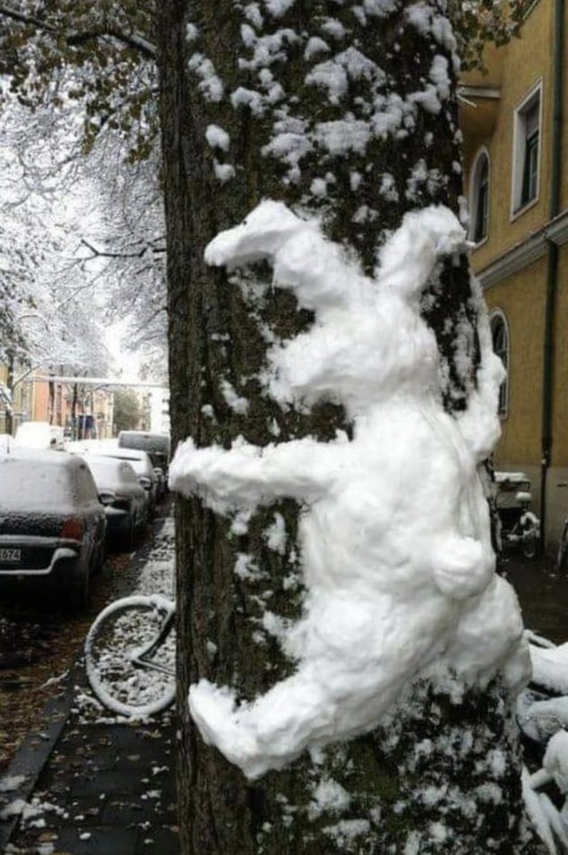 C’est pas faute de l’avoir prévenu.
#neige 
#neigeverglas