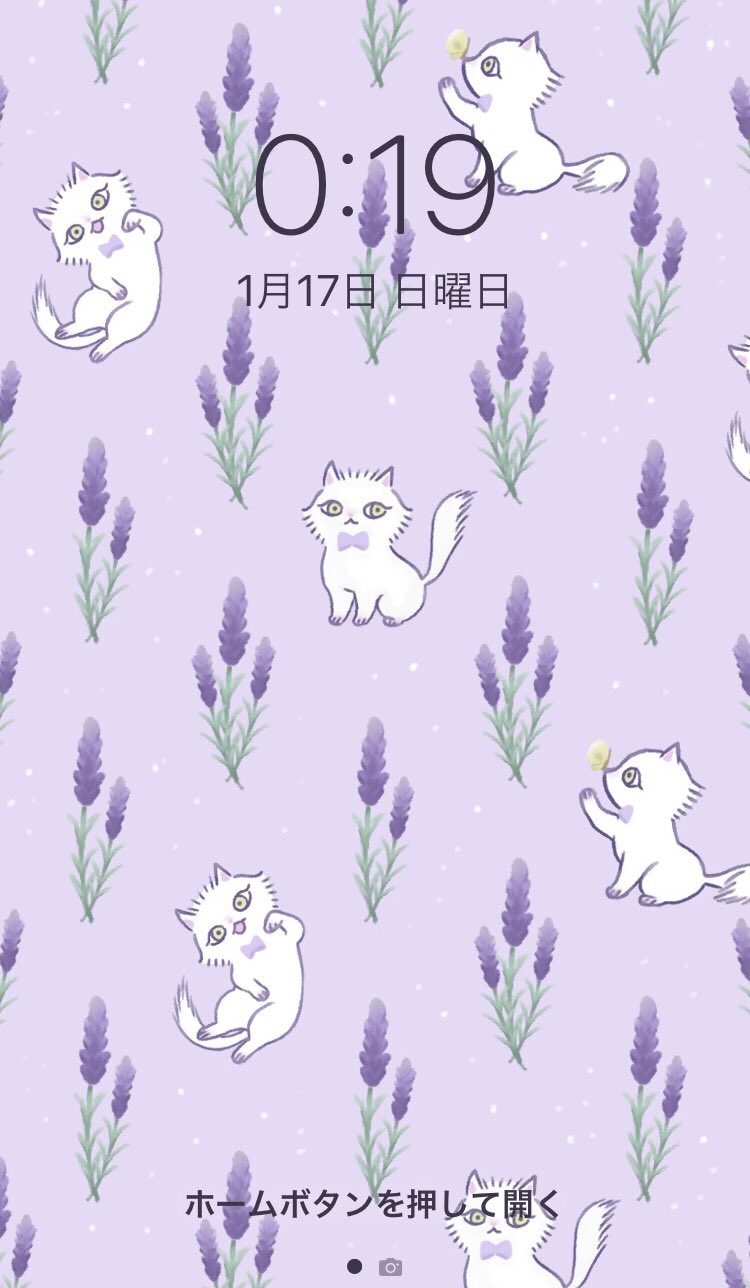 𓂃miyna𓂃𓈒𓂂𓏸 昔家族の一員だった子を思い出したので自分用にiphone 8規格 の壁紙 を作成 ぶたも好きだけどねこも好き うちの子はシャムとペルシャのミックスでした ねこ イラスト Iphone壁紙 イラスト好きな人と繋がりたい T Co