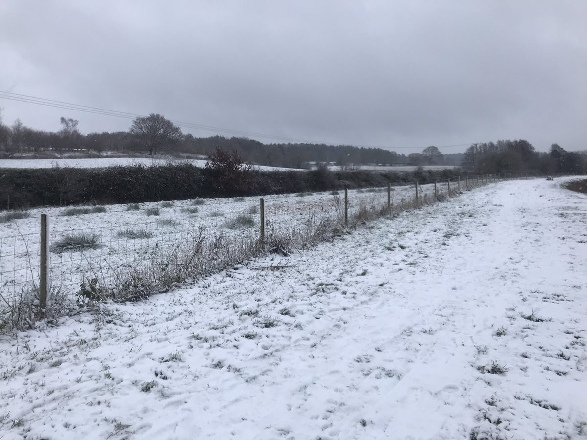 George Pegg tweet media