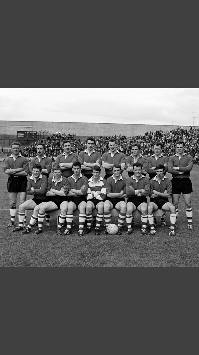 Catherine O Sullivan tweet media